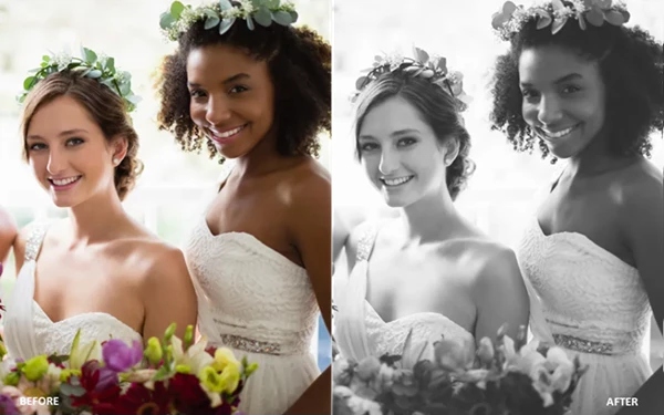 PHLEARN Wedding LUTs