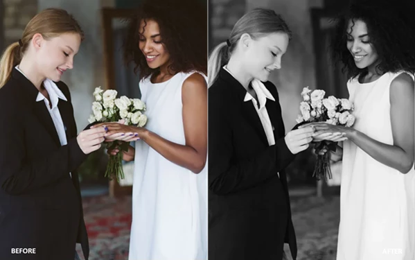 PHLEARN Wedding LUTs