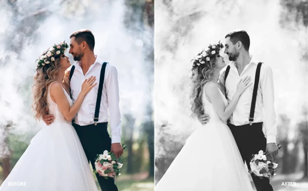 PHLEARN Wedding LUTs