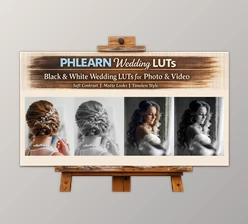 PHLEARN Wedding LUTs (BW): Black and White Wedding LUTs for Photo & Video by Aaron Nace