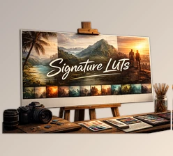 Signature LUTs by Niklas Christl