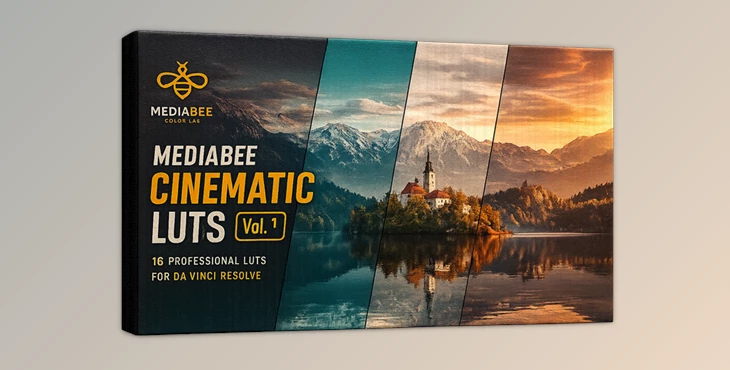 MEDIABEE CINEMATIC LUTS