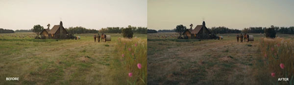 MEDIABEE CINEMATIC LUTS