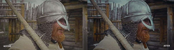 MEDIABEE CINEMATIC LUTS