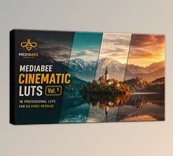 MEDIABEE CINEMATIC LUTS (Vol. 1) - A carefully crafted collection of cinematic LUTs by Mediabee