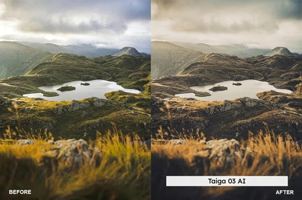 Tundra Gold