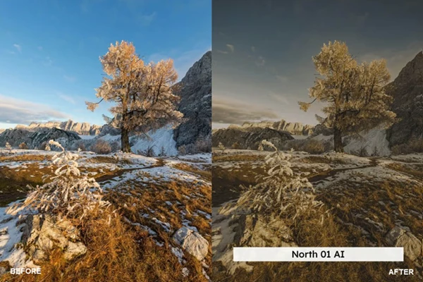 Tundra Gold