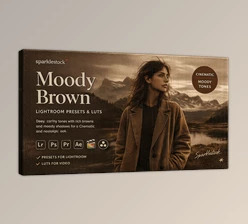 20 Moody Brown - Presets and LUTs for Lightroom by Sparklestock