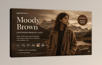 20 Moody Brown - <span class='badge badge-warning'>Presets</span> and LUTs for Lightroom by Sparklestock