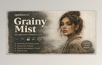 20 Grainy Mist - <span class='badge badge-warning'>Presets</span> and LUTs for Lightroom by Sparklestock