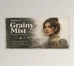 20 Grainy Mist - Presets and LUTs for Lightroom by Sparklestock