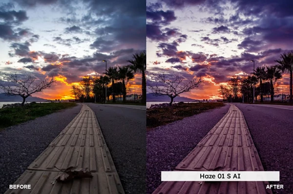 Purple Dusk