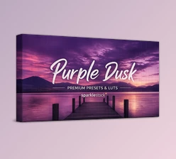 20 Purple Dusk - Presets and LUTs for Lightroom by Sparklestock