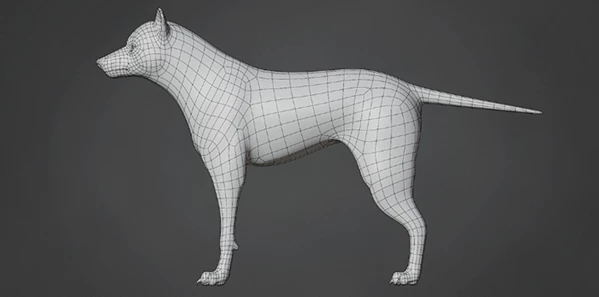Wolf Base Mesh
