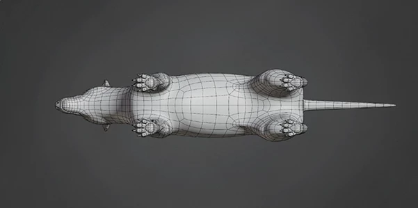 Wolf Base Mesh