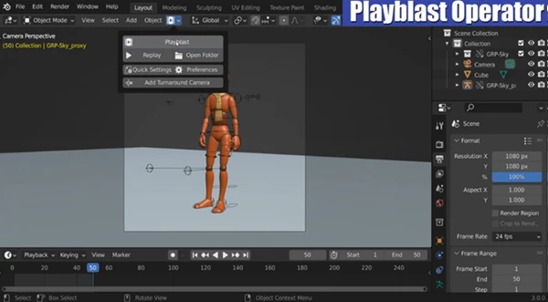 Playblast