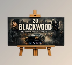 20 Blackwood - Presets and LUTs for Lightroom by Sparklestock