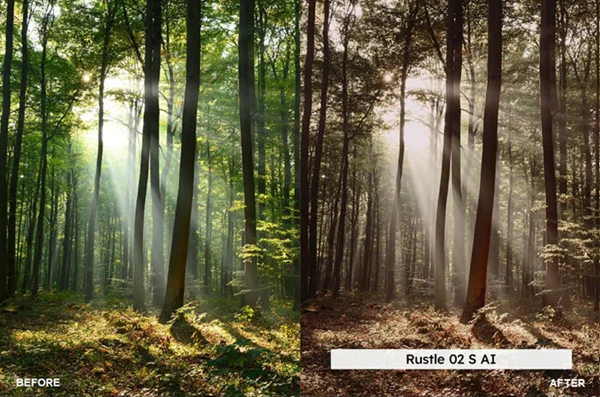 Forest Tones