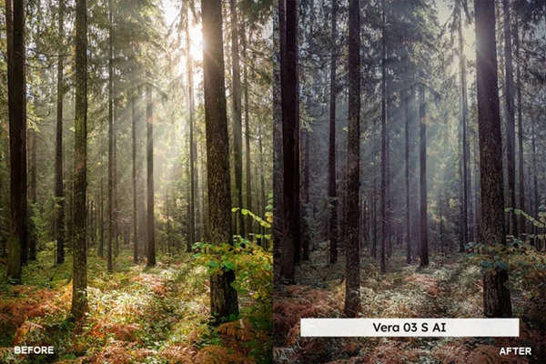 Forest Tones