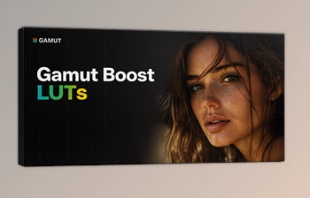 Gamut Boost: <span class='badge badge-warning'>LUTs</span> for Enhances Vibrancy by Gamut