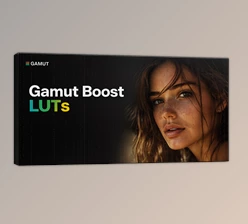 Gamut Boost: LUTs for Enhances Vibrancy by Gamut
