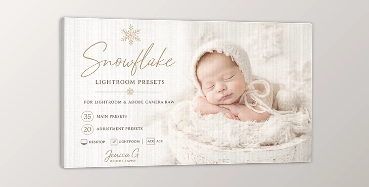 Snowflake Lightroom Presets