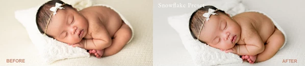 Snowflake Lightroom Presets