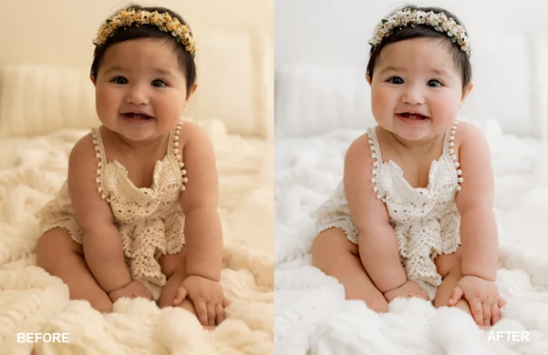 Snowflake Lightroom Presets