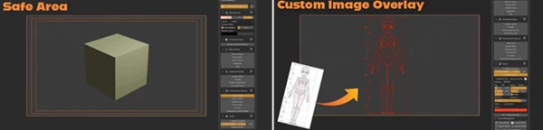 Cam Guides Pro