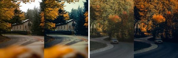Cinematic Autumn Fall