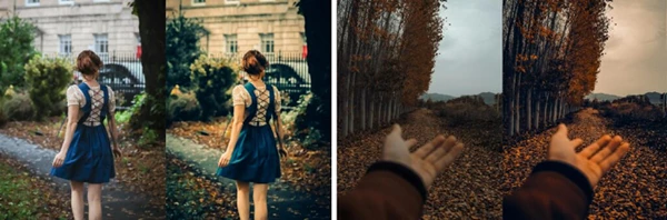 Cinematic Autumn Fall