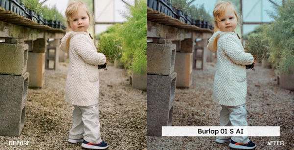 Homestead Lightroom Presets and LUTs