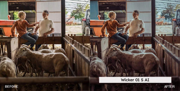 Homestead Lightroom Presets and LUTs