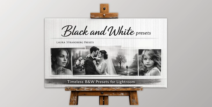 Black and White presets