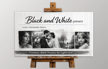 Black and White <span class='badge badge-warning'>Presets</span> by Laura Strandberg for <span class='badge badge-warning'>Lightroom</span>