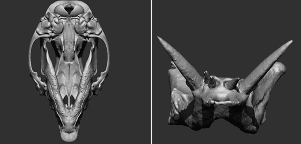 Animal Bones Collection Brush Pack