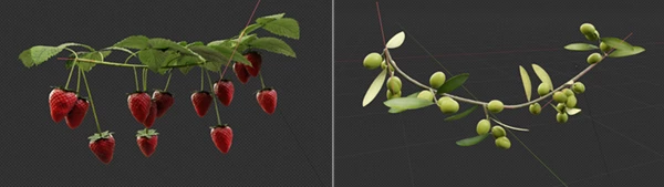 Growing Fruits