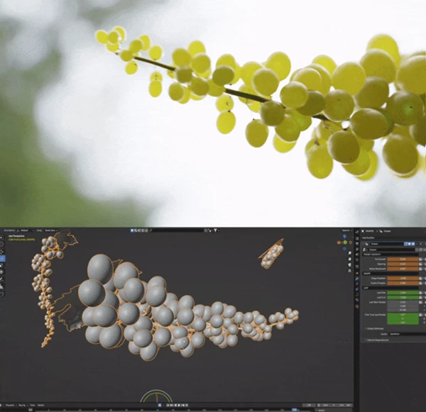 Growing Fruits