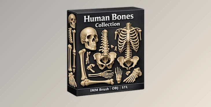 Human Bones Collection