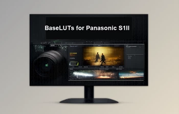 BaseLUTs for Panasonic S1II by Gamut (Rec709 and <span class='badge badge-warning'>DaVinci</span> Wide Gamut)