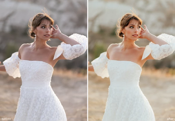 Authentic Love Presets Timeless Pack
