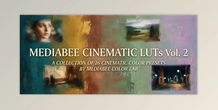 MEDIABEE CINEMATIC LUTS