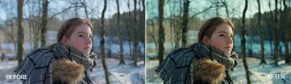 MEDIABEE CINEMATIC LUTS