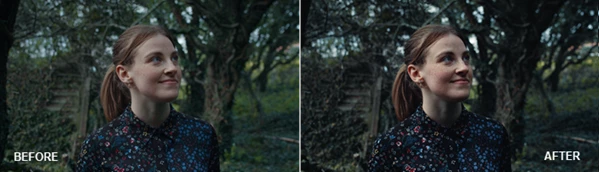MEDIABEE CINEMATIC LUTS