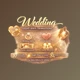 Wedding Light Rays Transitions for Ae by vcgmotion (Videohive 63988672)