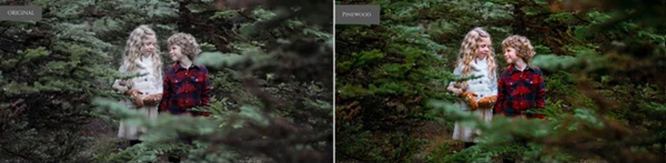 Enchanted Gardens Lightroom Presets