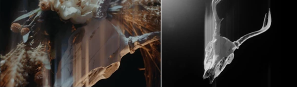 Timeshift Effect