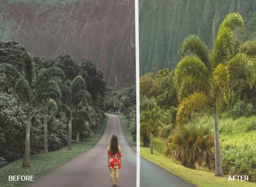 Anti Jungle LUT