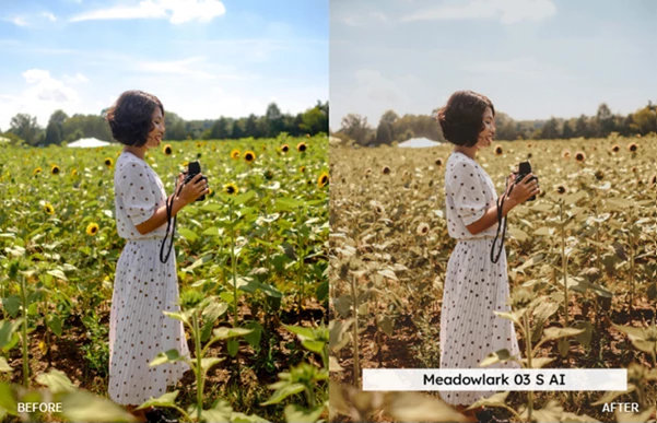 Soft Cottagecore LUTsandLightroom Presets