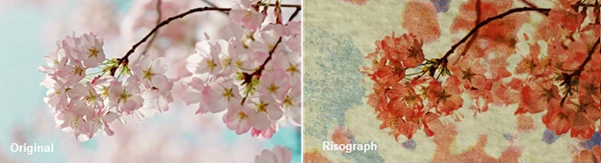 Risograph by Aescripts
